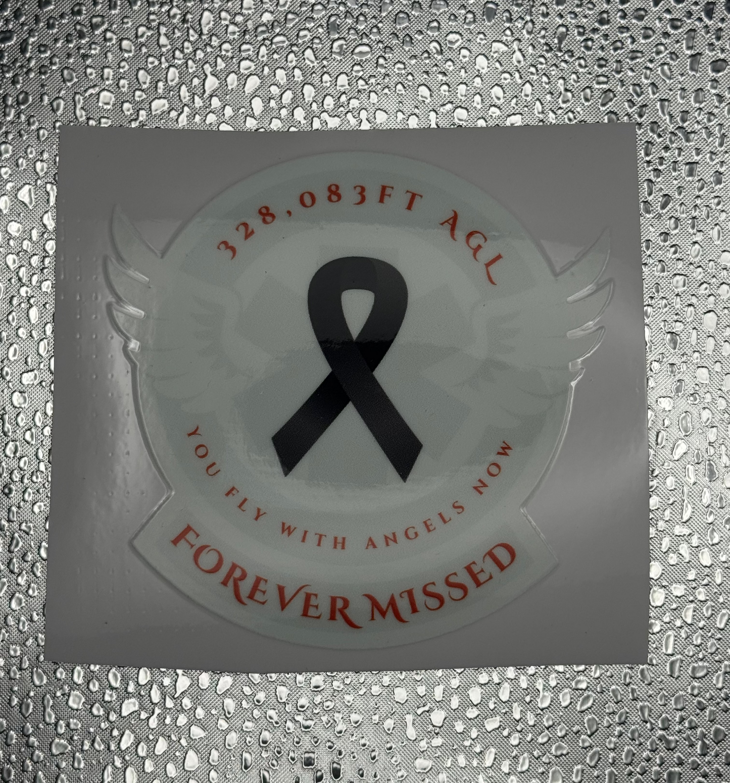 EMS Memorial (flight)